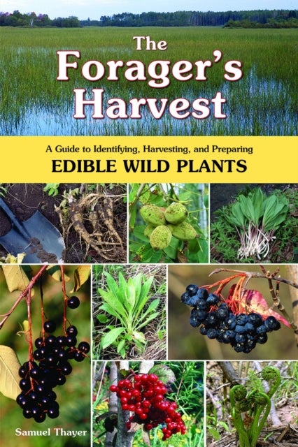 The Forager's Harvest - A Guide to Identifying, Harvesting, and Preparing Edible Wild Plants