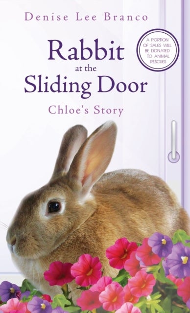 Rabbit at the Sliding Door - Chloe's Story