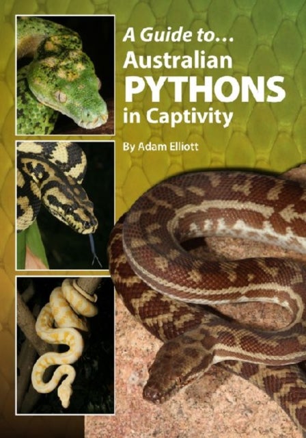 Bilde av A Guide To Australian Pythons In Captivity Av Adam Elliott