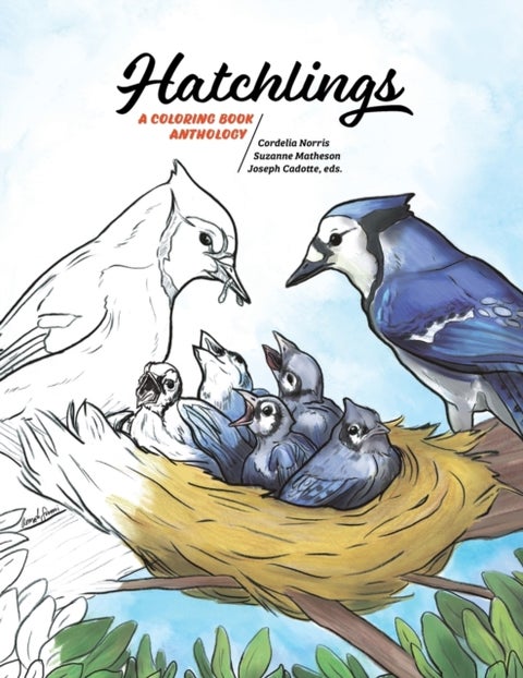 Hatchlings - A Coloring Book Anthology