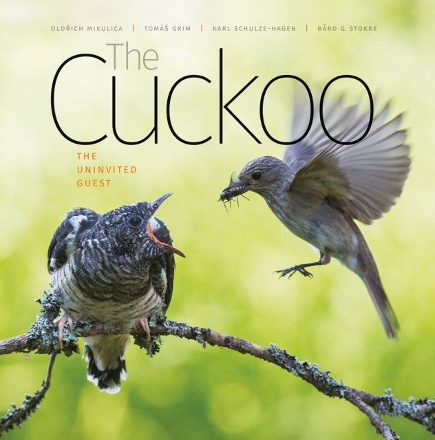 Bilde av The Cuckoo Av Oldrich Mikulica, Tomas Grim, Karl Schulze-hagen, Bard G. Stokke