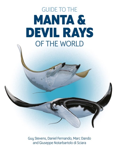 Bilde av Guide To The Manta And Devil Rays Of The World Av Guy Stevens, Daniel Fernando, Marc Dando, Giuseppe Notarbartolo Di Sciara