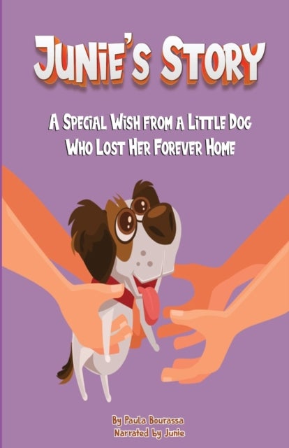 Junie's Story - A Special Wish From a Little Dog Who Lost Her Forever Home