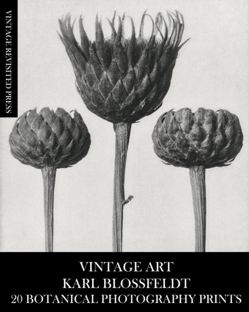 Vintage Art - Karl Blossfeldt 20 Botanical Photography Prints