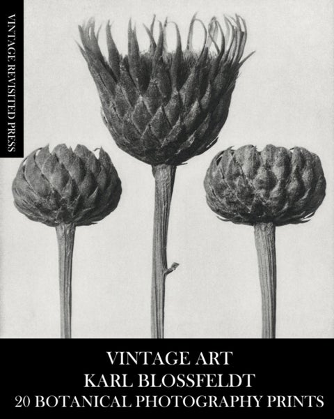 Vintage Art - Karl Blossfeldt 20 Botanical Photography Prints