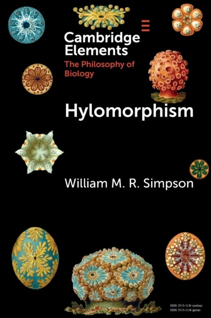 Bilde av Hylomorphism Av William M. R. (university Of Texas Austin And University Of Cambridge) Simpson