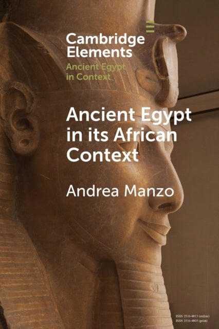 Ancient Egypt in its African Context - Economic Networks, Social and Cultural Interactions