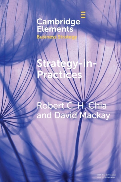 Strategy-In-Practices - A Process-Philosophical Perspective on Strategy-Making