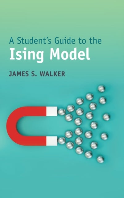 A Student's Guide to the Ising Model