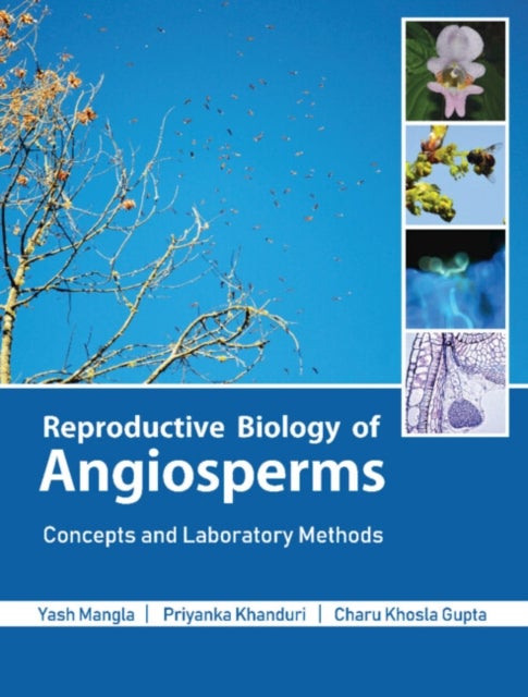 Bilde av Reproductive Biology Of Angiosperms Av Yash (university Of Delhi) Mangla, Priyanka (university Of Calcutta) Khanduri, Charu Khosla (university Of Delh