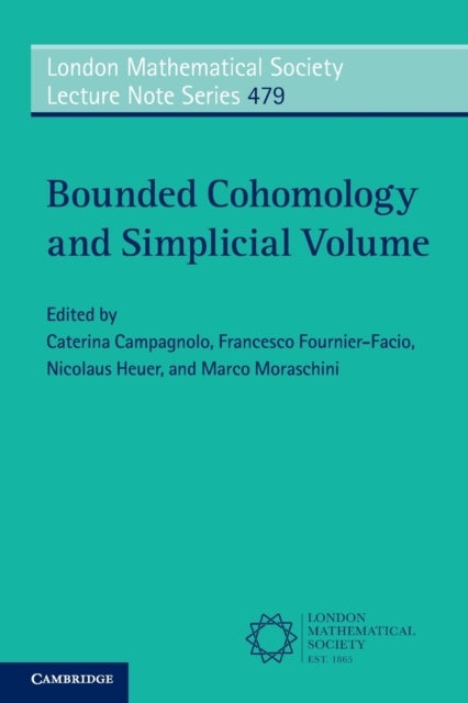 Bilde av Bounded Cohomology And Simplicial Volume
