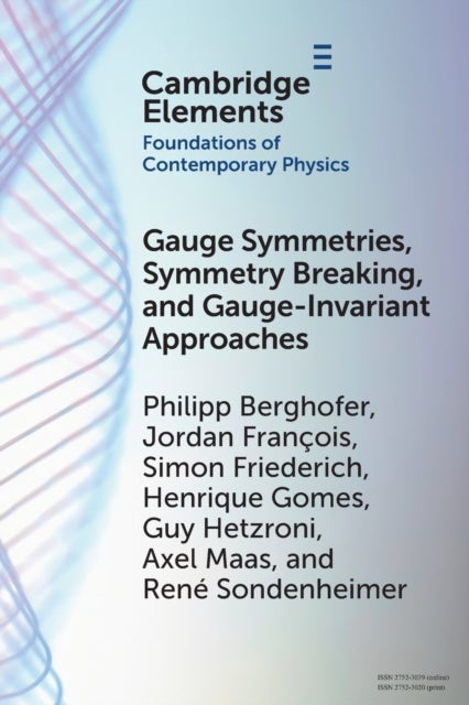 Bilde av Gauge Symmetries, Symmetry Breaking, And Gauge-invariant Approaches Av Philipp (universitat Graz Austria) Berghofer, Jordan (universite De Mons Belgiu