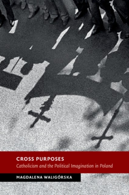 Cross Purposes - Catholicism and the Political Imagination in Poland