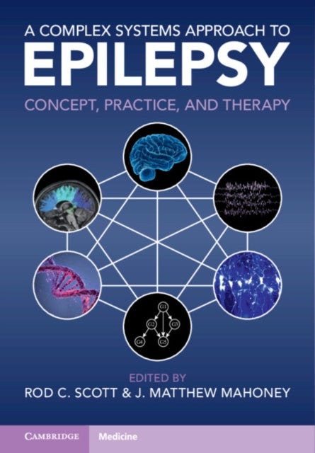 Bilde av A Complex Systems Approach To Epilepsy