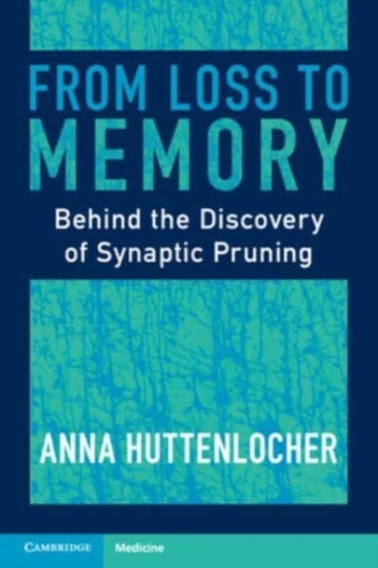 From Loss to Memory - Behind the Discovery of Synaptic Pruning