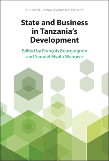 State and Business in Tanzania's Development - The Institutional Diagnostic Project