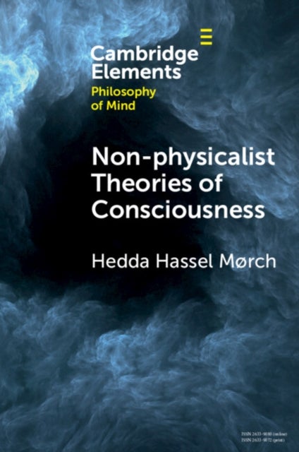 Bilde av Non-physicalist Theories Of Consciousness Av Hedda Hassel (inland Norway University Of Applied Sciences) Mørch