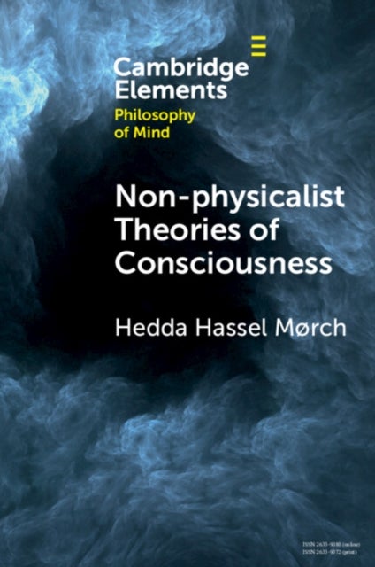 Non-physicalist Theories of Consciousness