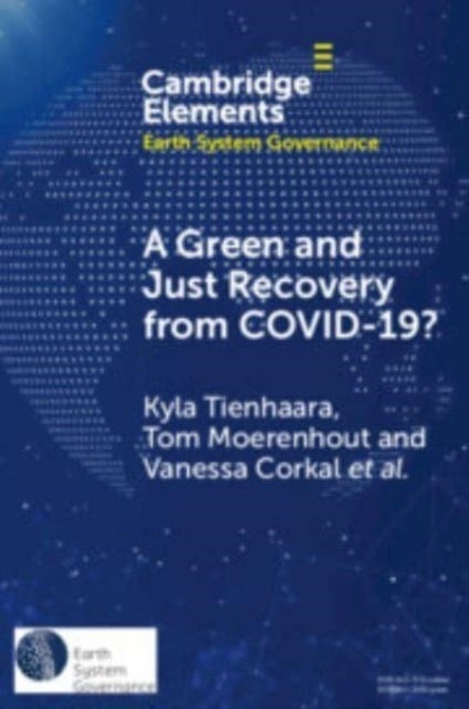 A Green and Just Recovery from COVID-19? - Government Investment in the Energy Transition during the Pandemic