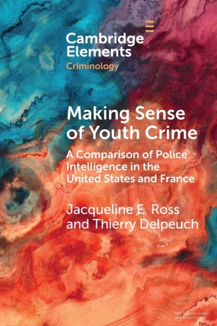 Making Sense of Youth Crime - A Comparison of Police Intelligence in the United States and France