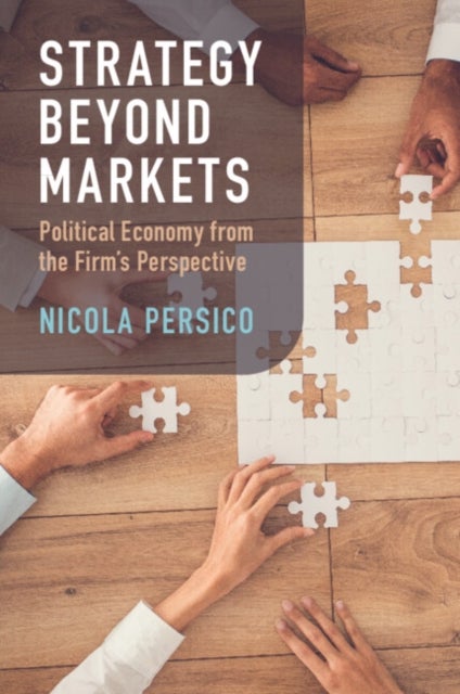 Strategy Beyond Markets - Political Economy from the Firm's Perspective