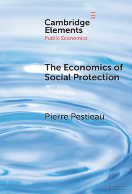 Bilde av The Economics Of Social Protection Av Pierre (universite De Liege And Universite Catholique De Louvain Belgium) Pestieau