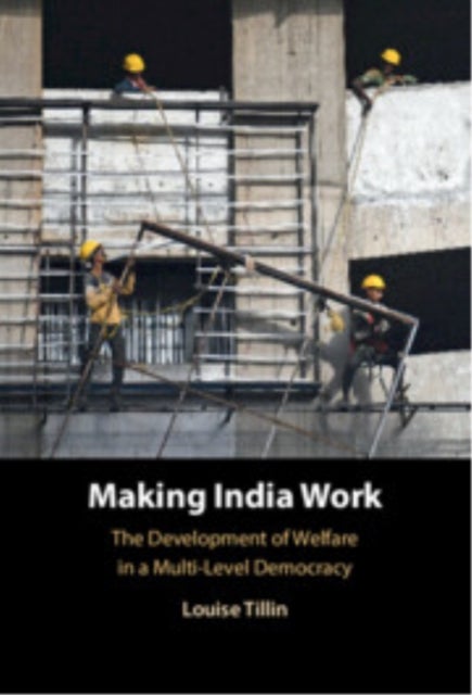 Making India Work - The Development of Welfare in a Multi-Level Democracy