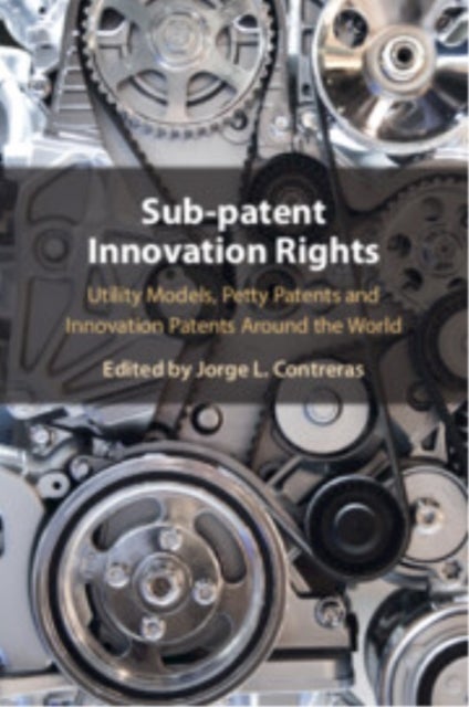 Sub-patent Innovation Rights - Utility Models, Petty Patents and Innovation Patents Around the World