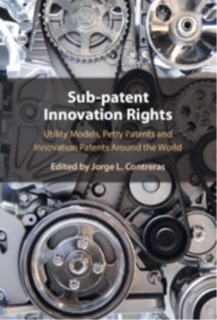 Sub-patent Innovation Rights - Utility Models, Petty Patents and Innovation Patents Around the World