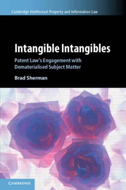 Intangible Intangibles - Patent Law's Engagement with Dematerialised Subject Matter