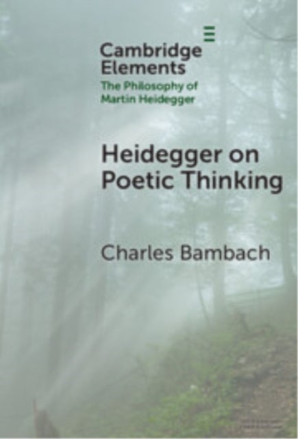 Heidegger on Poetic Thinking