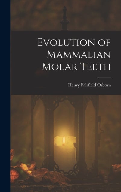Bilde av Evolution Of Mammalian Molar Teeth Av Henry Fairfield Osborn