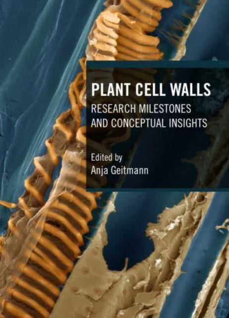 Plant Cell Walls - Research Milestones and Conceptual Insights