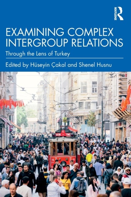 Bilde av Examining Complex Intergroup Relations