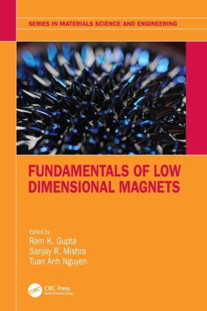 Bilde av Fundamentals Of Low Dimensional Magnets