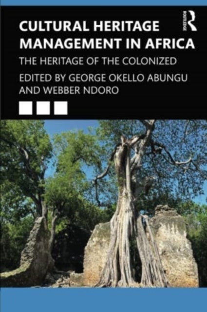 Bilde av Cultural Heritage Management In Africa