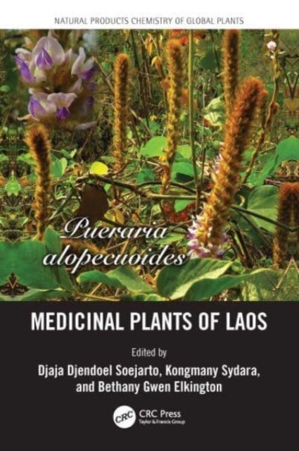 Bilde av Medicinal Plants Of Laos