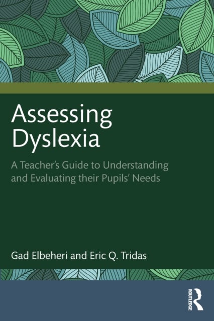 Assessing Dyslexia - A Teacher's Guide to Understanding and Evaluating their Pupils' Needs