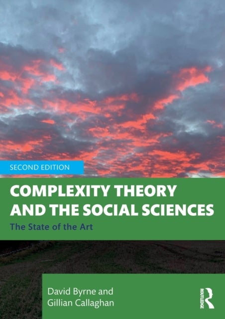 Complexity Theory and the Social Sciences - The State of the Art