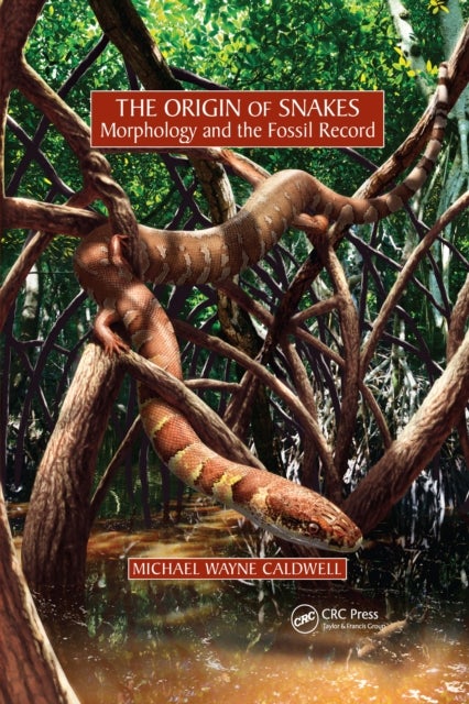 The Origin of Snakes - Morphology and the Fossil Record