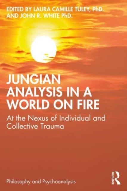 Jungian Analysis in a World on Fire - At the Nexus of Individual and Collective Trauma