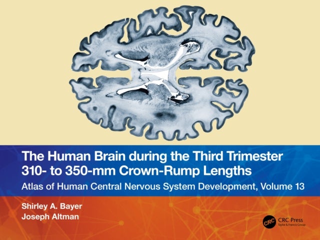 The Human Brain during the Third Trimester 310¿ to 350¿mm Crown-Rump Lengths - Atlas of Central Nervous System Development, Volume 13