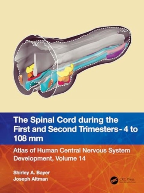 The Spinal Cord during the First and Second Trimesters - 4 to 108 mm - Atlas of Central Nervous System Development, Volume 14