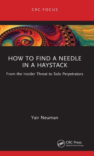 How to Find a Needle in a Haystack - From the Insider Threat to Solo Perpetrators