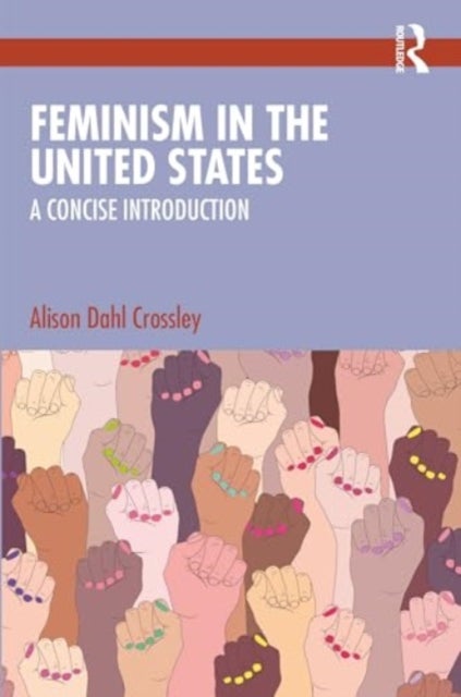 Feminism in the United States - A Concise Introduction