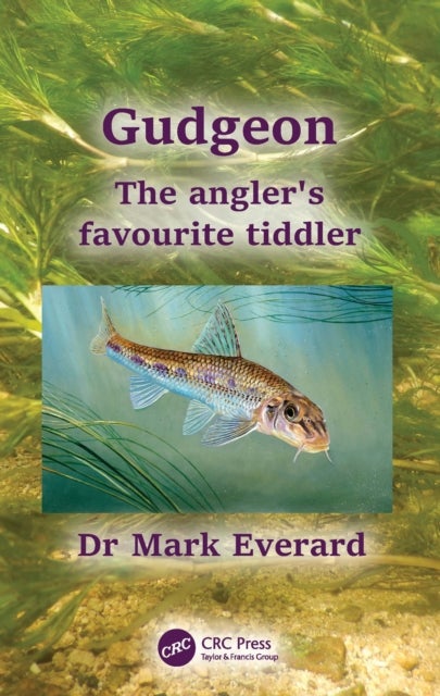 Gudgeon - The angler's favourite tiddler