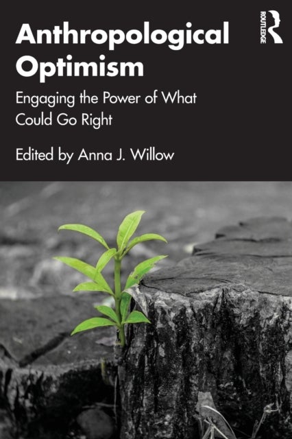 Anthropological Optimism - Engaging the Power of What Could Go Right