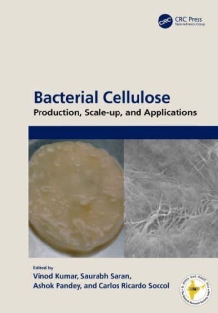Bacterial Cellulose - Production, Scale-up, and Applications