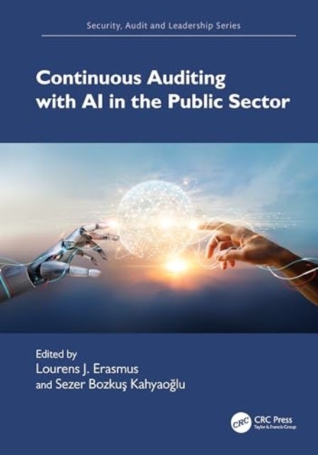 Continuous Auditing with AI in the Public Sector