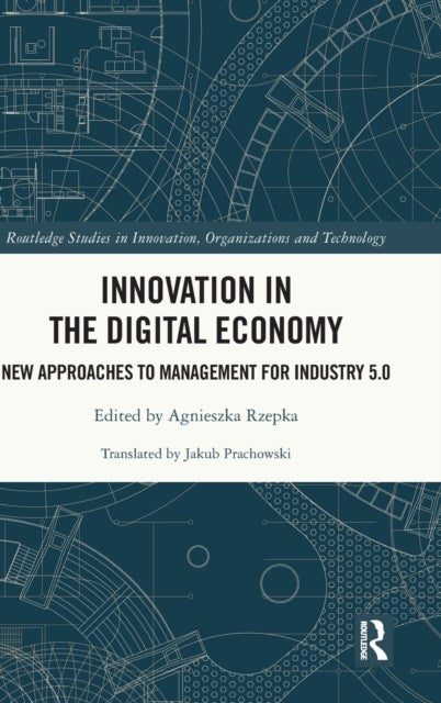 Bilde av Innovation In The Digital Economy
